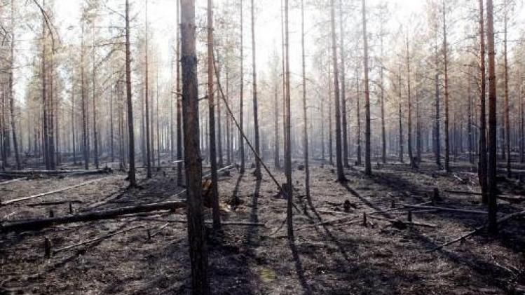 En raison d'incendies violents, la Suède pourrait interdire les barbecues