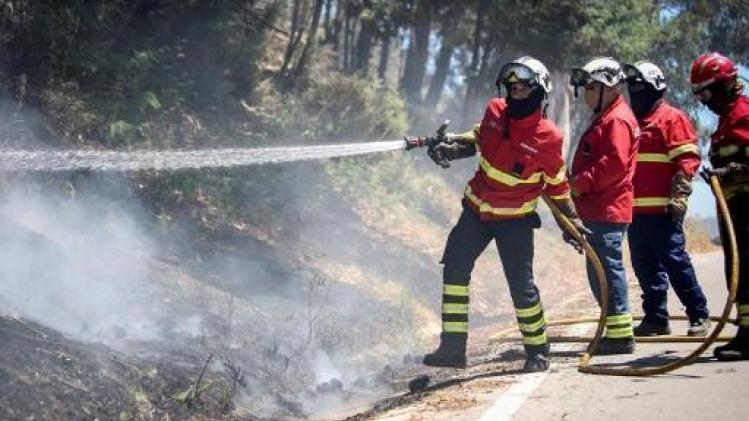 Le feu de forêt maîtrisé au sud du Portugal