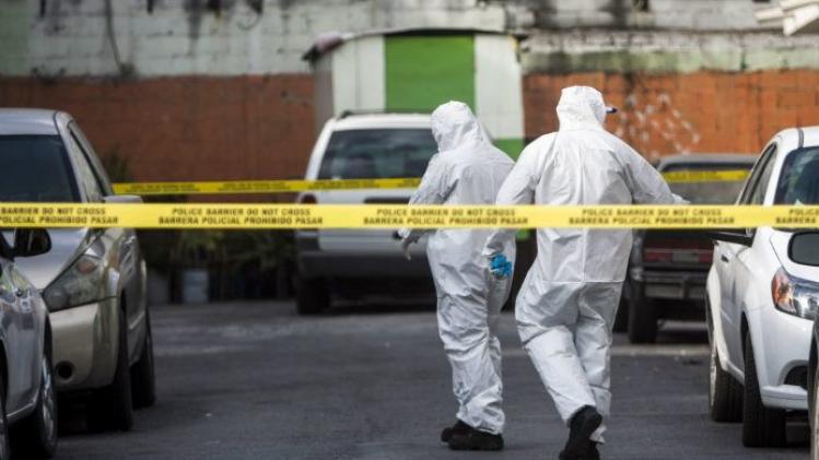 BELGAIMAGE-140449886