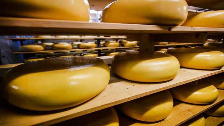 NETHERLANDS-FOOD-JUSTICE-THEFT-CHEESE