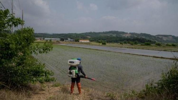 Séoul envoie 50.000 tonnes de riz en Corée du Nord