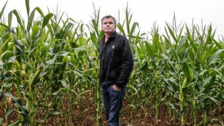 Affaire de l'agriculteur Paul François: Monsanto (Bayer) va en cassation
