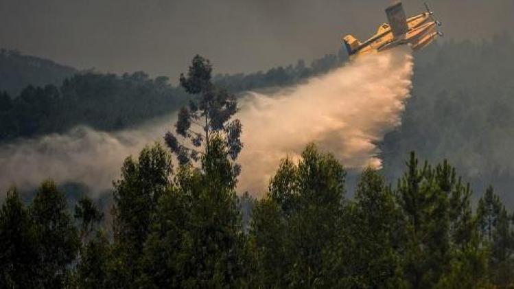 Portugal : vents et sécheresse compliquent la lutte contre un grand incendie
