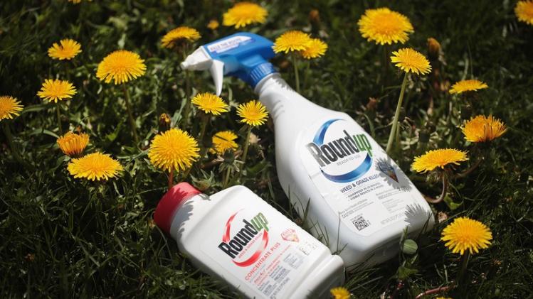 Monsanto Charged $2 Billion In Damages For Weed Killer Roundup Cancer Lawsuit