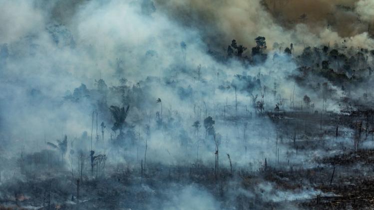 Forest Fires in Amazon (2019)Queimadas na Amazônia (2019)