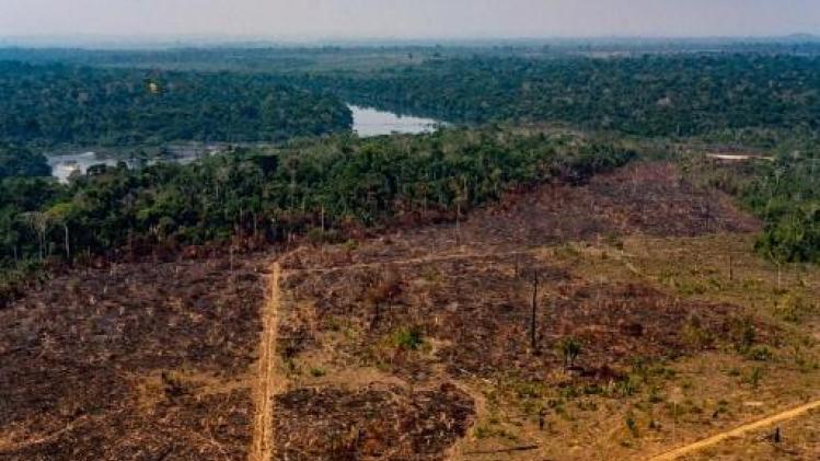 Amazonie: la déforestation affecte aussi l'Amazone et "toute la biosphère"
