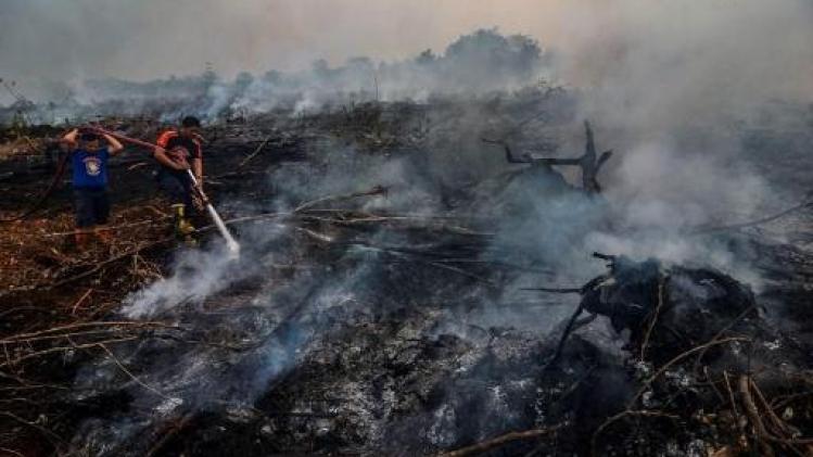 Feux de forêt: la tension monte entre la Malaisie et l'Indonésie