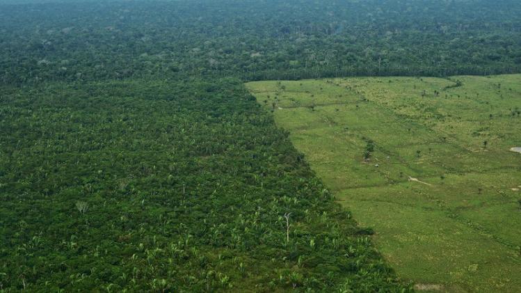 BRAZIL-AMAZON-DEFORESTATION