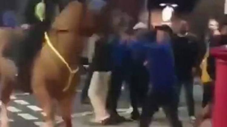 PRI_86695896-e1569390849726