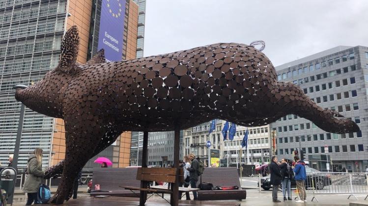 Reusachtig varken kijkt op naar de Europese commissie voor verbod op kooien