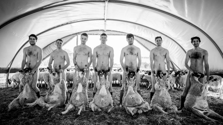 75371518_2616900685056111_8550633244649848832_n