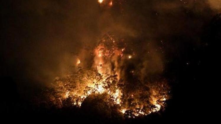 Australie: plusieurs incendies fusionnent en un "mégafeu" au nord de Sydney