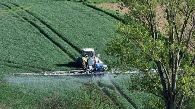 Le chlorpyrifos, insecticide controversé, bientôt interdit dans l'UE