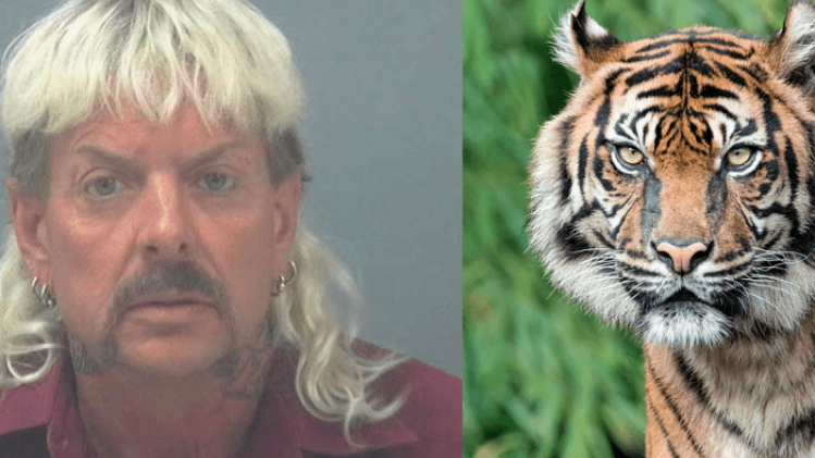 Annotation 2020-01-27 114406