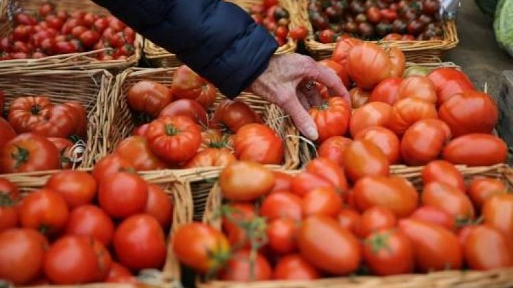 Les agriculteurs craignent l'arrivée depuis la France d'un virus touchant les tomates