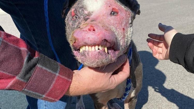 71837131_587896768686096_925415483653728276_n