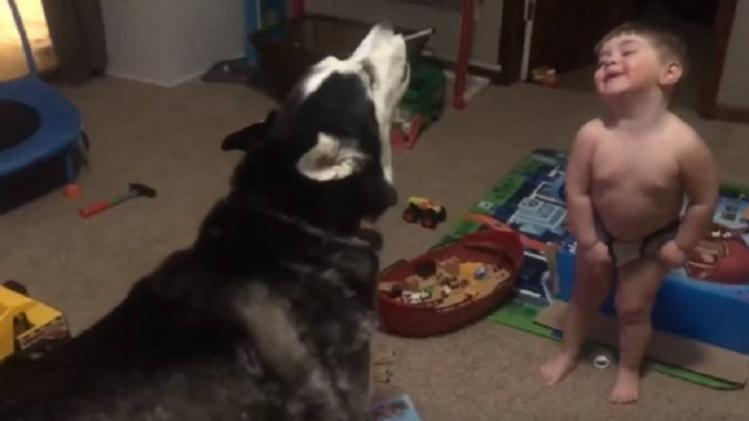 hurlement-chien_5e60add4bac9f