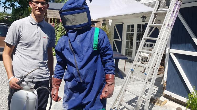 BELGIUM WASP EXTERMINATOR