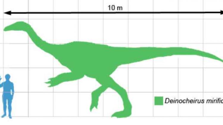 Deinocheirus_scale