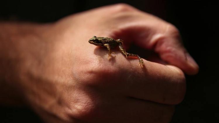 BELGAIMAGE-154388735.jpg