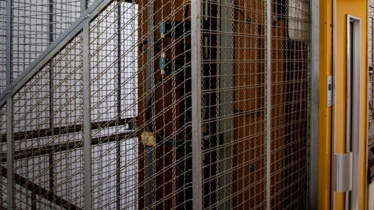 pexels-magda-ehlers-2602733