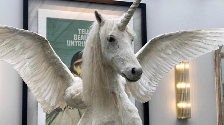 Licorne taille reel hotsell