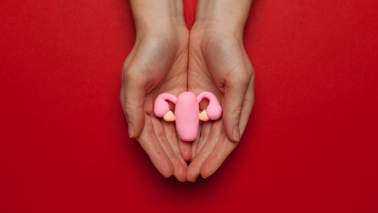 Healthy female uterus on red background. Gynecological diseases and pain treatment. Reproductive system and pregnancy
