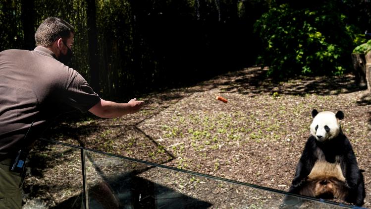 BELGIUM-HEALTH-VIRUS-ANIMAL-ZOO