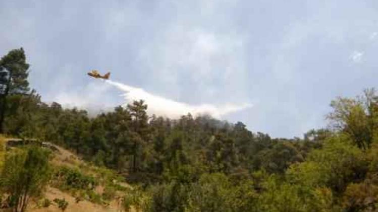Chypre déclare un feu de forêt meurtrier sous contrôle