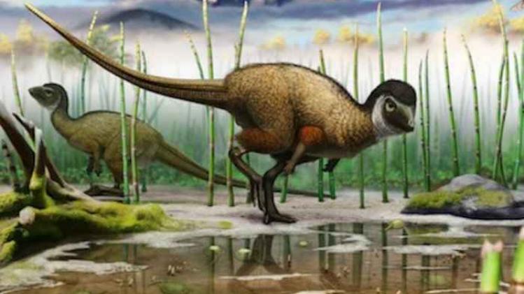 1c930b60-a19d-4a4f-bea0-187a38ef732e-bestSizeAvailable