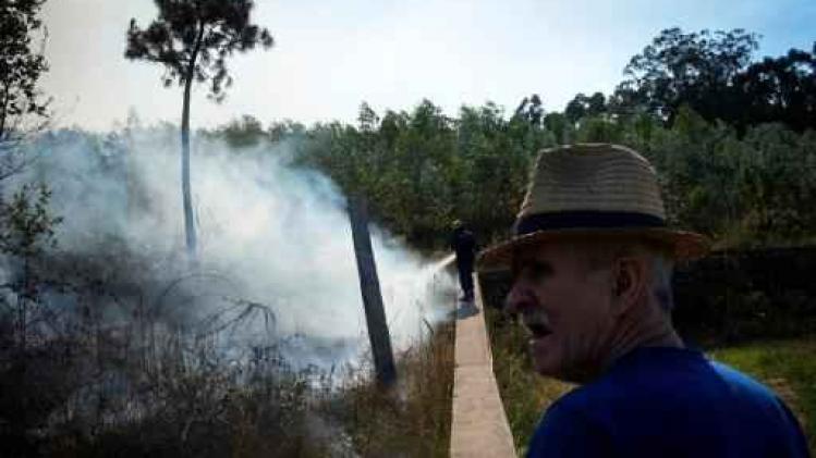 Incendies au Portugal: Porto déclenche un plan d'urgence