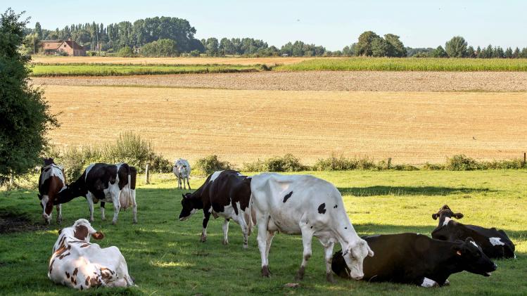 FRANCE-AGRICULTURE-MILK-FARMERS-ECONOMY