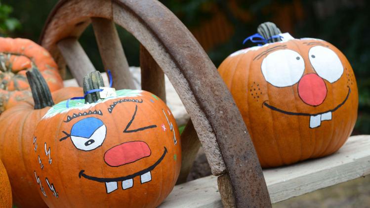 GERMANY-AGRICULTURE-HARVEST-PUMPKINS