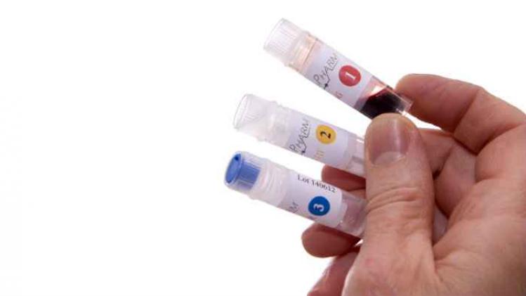 BELGAIMAGE-41202975-1