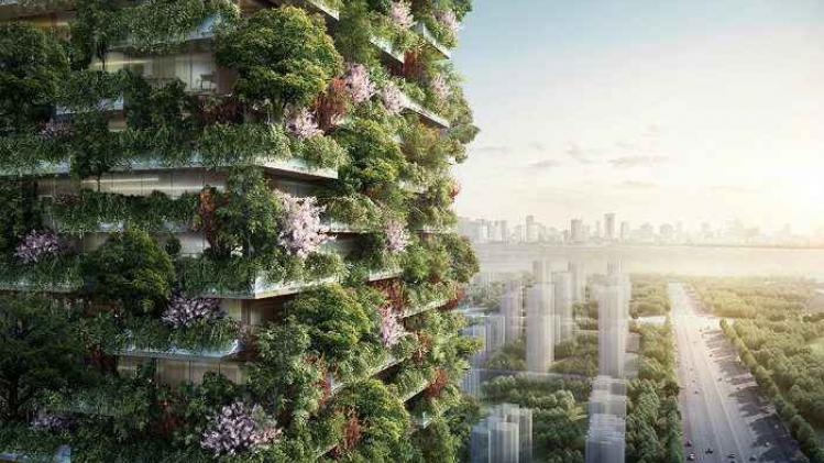 Immeuble foret