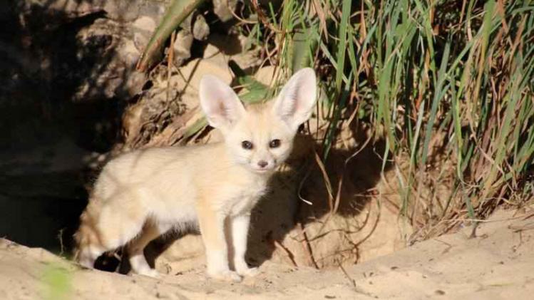 16463276_1379227558806798_3286169947886089780_o