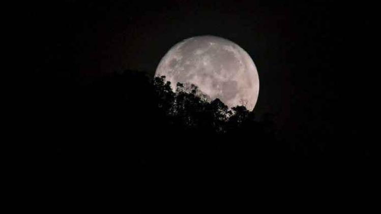 BELGAIMAGE-108070568