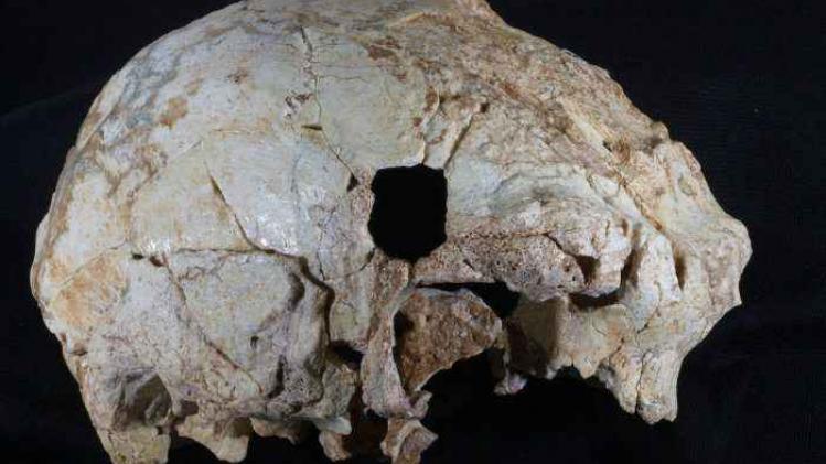 aroeira-skull