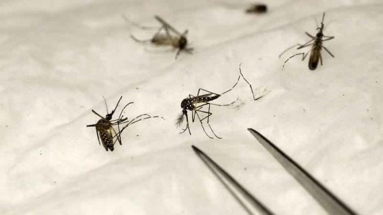 FRANCE-RESEARCH-HEALTH-MOSQUITOES