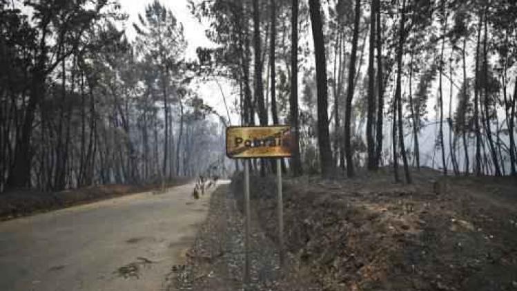 Incendie de forêt au Portugal - Le pays toujours en proie à des feux de forêt massifs, le bilan passe à 63 morts