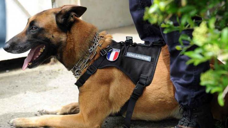 FRANCE-POLICE-GENDARMERIE-DOG