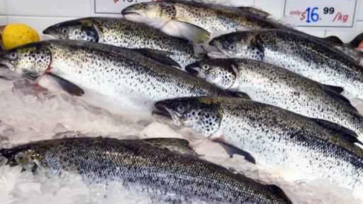 Du saumon transgénique vendu au Canada inquiète les écologistes