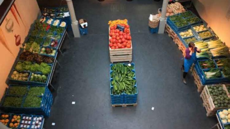 marchedestanneurs web