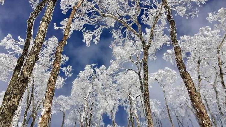 Hokkaido during the winter