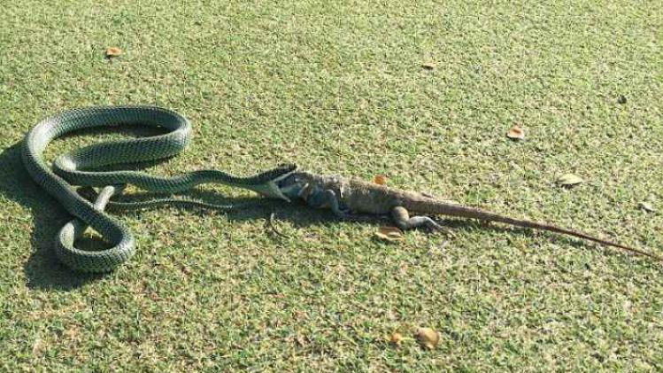 45D3708F00000578-5031103-image-m-3_1509358871211