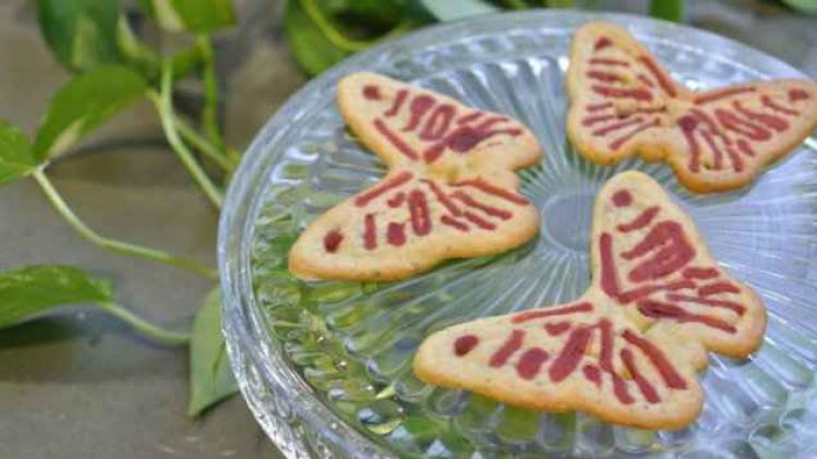 butterflycookies