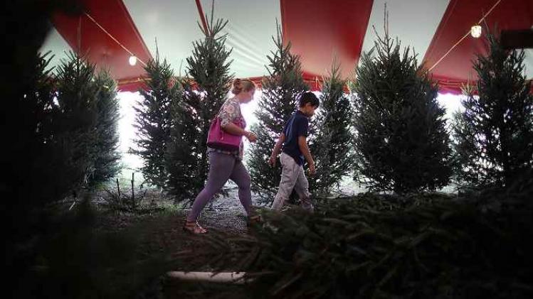 National Christmas Tree Shortage Leads To Higher Prices And Less Inventory
