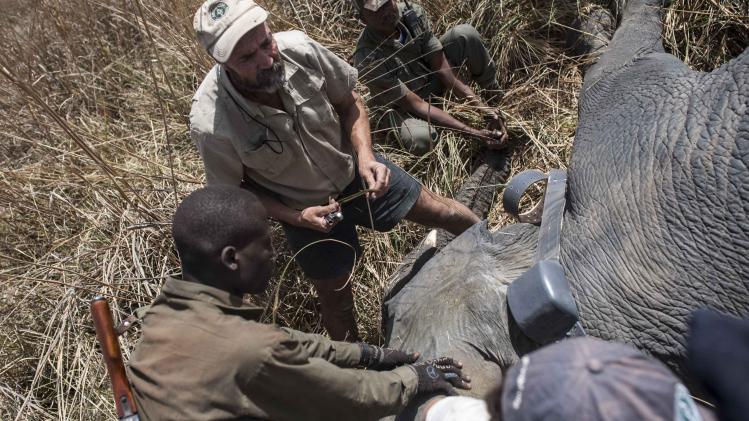 BENIN-PENDJARI-PARK-ELEPHANT-CONSERVATION