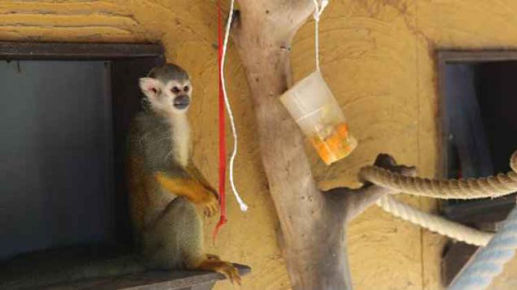 11536409_869614939771420_6135683336886945334_o