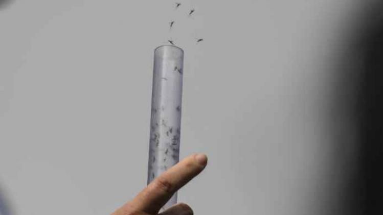 BELGAIMAGE-125594424